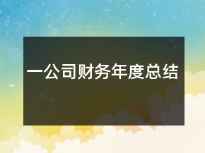 一公司財務(wù)年度總結(jié)