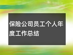 保險(xiǎn)公司員工個(gè)人年度工作總結(jié)