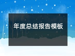 年度總結報告模板