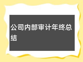 公司內(nèi)部審計年終總結(jié)