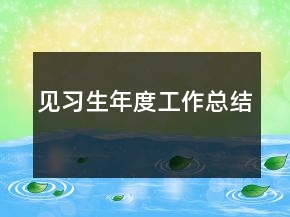 見(jiàn)習(xí)生年度工作總結(jié)