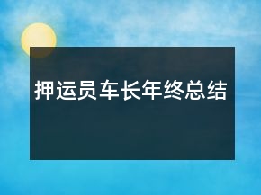 押運(yùn)員車(chē)長(zhǎng)年終總結(jié)