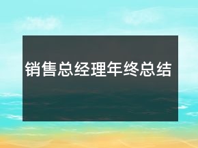 銷售總經理年終總結