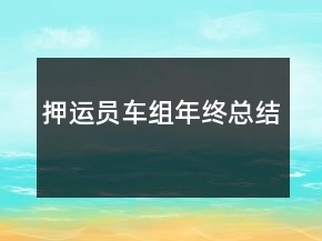 押運(yùn)員車組年終總結(jié)