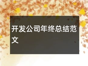開(kāi)發(fā)公司年終總結(jié)范文