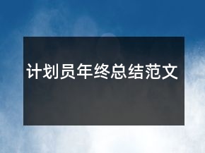 計(jì)劃員年終總結(jié)范文
