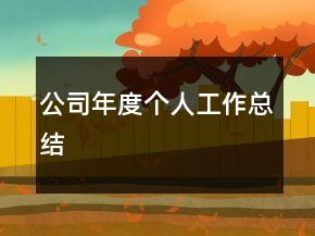 公司年度個人工作總結(jié)