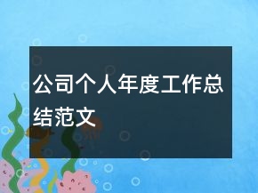公司個人年度工作總結(jié)范文