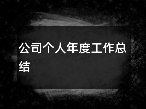 公司個人年度工作總結(jié)