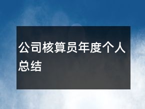 公司核算員年度個(gè)人總結(jié)