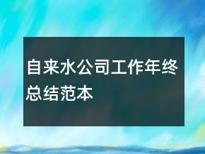 自來(lái)水公司工作年終總結(jié)范本