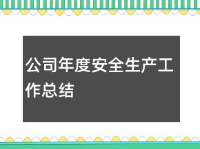 公司年度安全生產(chǎn)工作總結(jié)