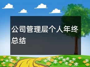 公司管理層個(gè)人年終總結(jié)