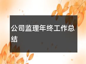 公司監(jiān)理年終工作總結(jié)