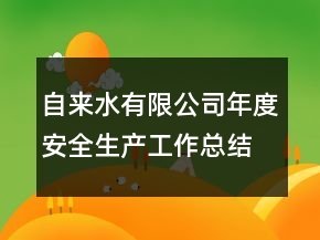 自來(lái)水有限公司年度安全生產(chǎn)工作總結(jié)