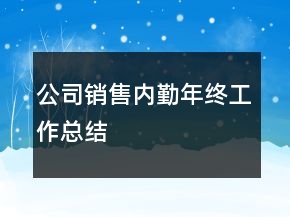 公司銷(xiāo)售內(nèi)勤年終工作總結(jié)