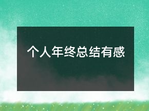 個人年終總結(jié)有感