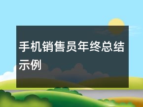 手機銷售員年終總結(jié)示例