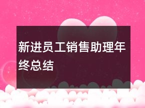 新進(jìn)員工銷售助理年終總結(jié)