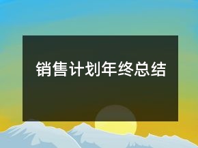 銷售計(jì)劃年終總結(jié)