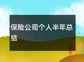 保險(xiǎn)公司個(gè)人半年總結(jié)