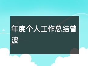 年度個人工作總結曾波