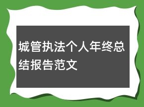 城管執(zhí)法個人年終總結報告范文
