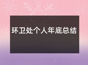 環(huán)衛(wèi)處個人年底總結(jié)