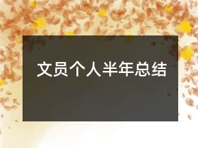 文員個人半年總結(jié)