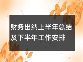 財務出納上半年總結及下半年工作安排
