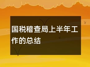 國稅稽查局上半年工作的總結(jié)