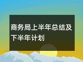 商務(wù)局上半年總結(jié)及下半年計劃