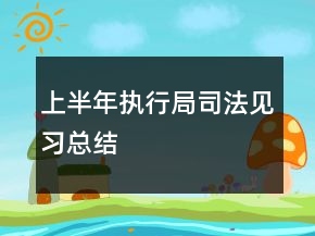 上半年執(zhí)行局司法見(jiàn)習(xí)總結(jié)