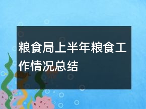 糧食局上半年糧食工作情況總結(jié)