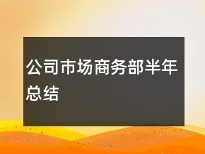 公司市場商務部半年總結