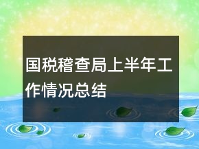 國稅稽查局上半年工作情況總結(jié)
