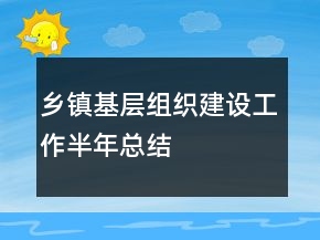 鄉(xiāng)鎮(zhèn)基層組織建設工作半年總結