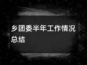 鄉(xiāng)團(tuán)委半年工作情況總結(jié)