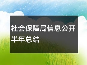 社會保障局信息公開半年總結