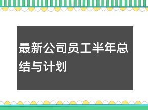 最新公司員工半年總結與計劃