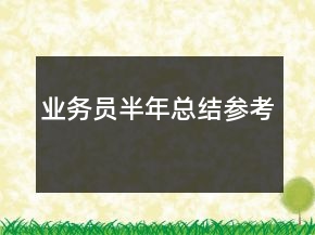 業(yè)務(wù)員半年總結(jié)參考