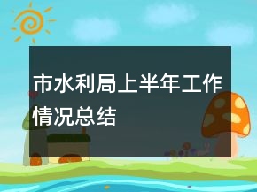 市水利局上半年工作情況總結(jié)