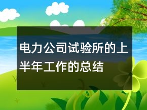 電力公司試驗所的上半年工作的總結(jié)