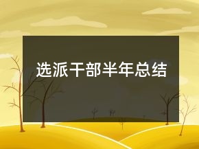 選派干部半年總結(jié)