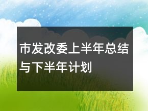 市發(fā)改委上半年總結(jié)與下半年計劃