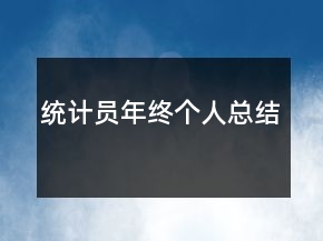 統(tǒng)計員年終個人總結