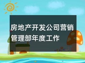 房地產(chǎn)開(kāi)發(fā)公司營(yíng)銷(xiāo)管理部—年度工作總結(jié)及工作計(jì)劃思路