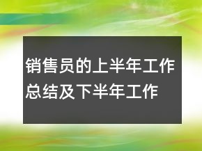銷售員的上半年工作總結(jié)及下半年工作計劃