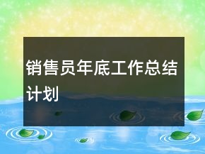 銷售員年底工作總結(jié)計(jì)劃