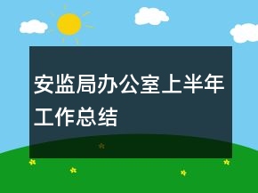 安監(jiān)局辦公室上半年工作總結